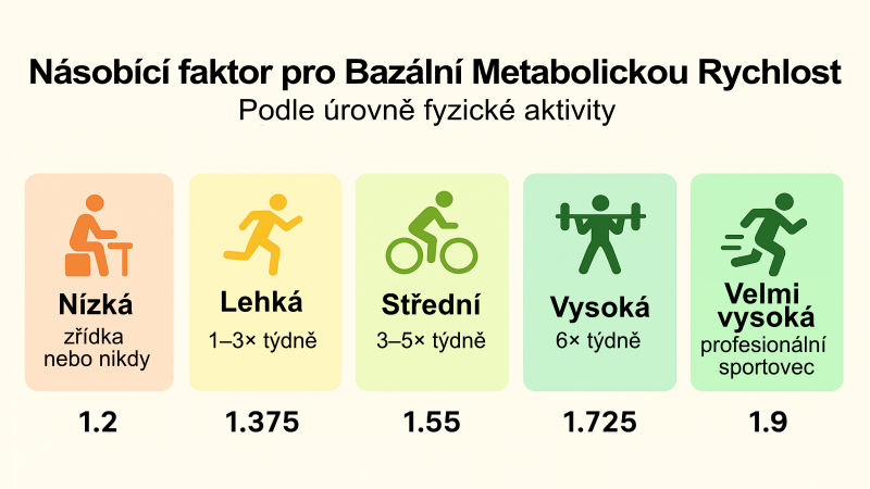 Násobící faktor pro bazální metabolismus podle úrovně fyzické aktivity